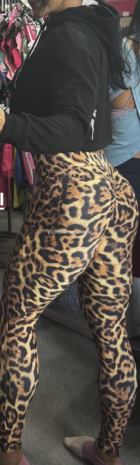 Angiolina